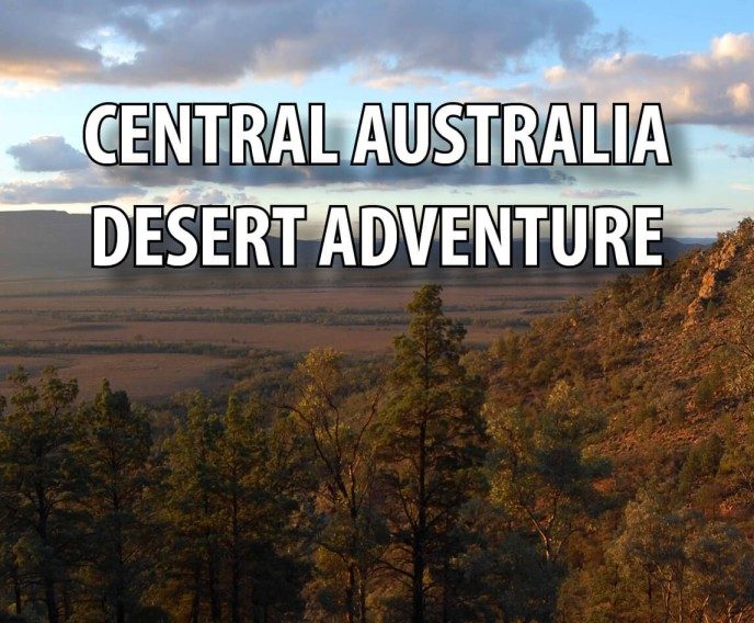 Desert Tour